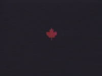 maple leaf eye roll GIF by Ottawa International Animation Festival