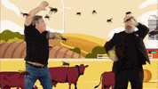 GIF by Taskmaster Portugal