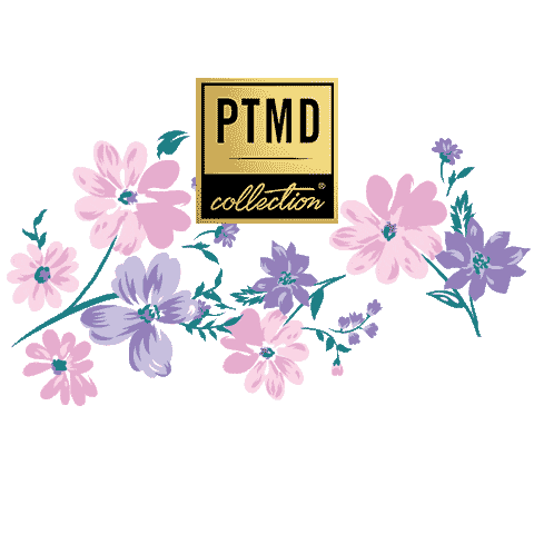 PTMD giphyupload ptmd ptmd interior Sticker