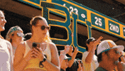 Baylor Bears Sic Em GIF by Baylor Athletics