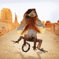 yippee GIF by SKIPPY Peanut Butter