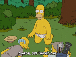 Episode 4 Pic-Nic GIF by The Simpsons