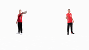 Ipl Dhoni GIF by Dream11