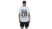 Turn Sge Sticker by Eintracht Frankfurt