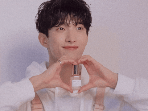 Dk 세븐틴 GIF