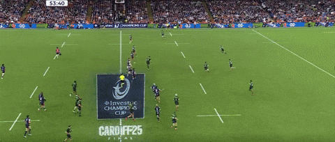 lorenzocalamai giphyupload GIF