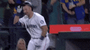 Acknowledging Home Run GIF by MLB