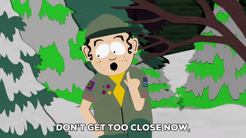 boy scout forest GIF by South Park 