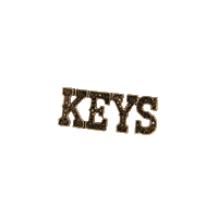 Wild Horses Keys Sticker by Lainey Wilson