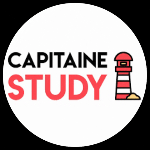 CapitaineStudy giphygifmaker orientation capitainestudy iscpa GIF