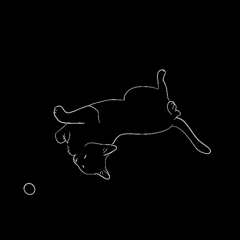 hollychenccb8 hyun GIF