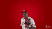 Baseball Mlb GIF by Cincinnati Reds
