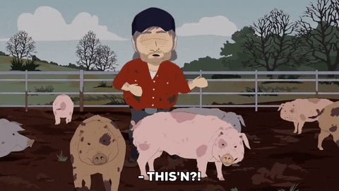 Pig Farm GIF by South Park - Find & Share on GIPHY Pig Farm GIF by South Park - Find & Share on GIPHY