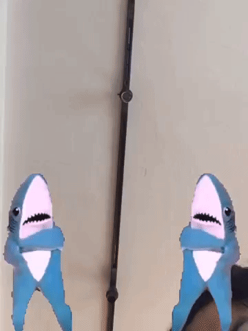 beta GIF