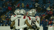 GIF by New England Patriots