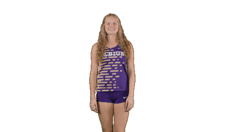 Ppp D3 Sticker by Albion College