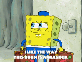 season 8 spongebob's runaway roadtrip: patrick's staycation GIF by SpongeBob SquarePants