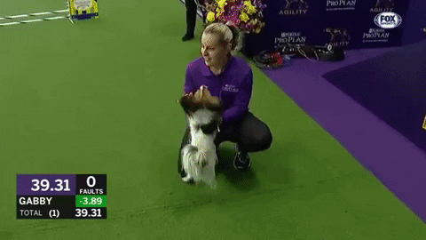 96batman giphygifmaker dog shut up annoying GIF