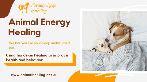 serenitylodgehealing giphygifmaker animal energy healing energy healing sydney energy medicine therapist GIF