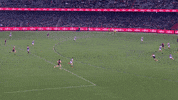 Justin Westhoff Mark GIF by Port Adelaide FC