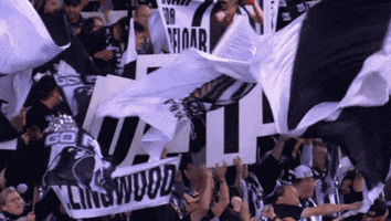 Football Sport GIF by CollingwoodFC