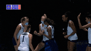 Vamos United States GIF by Volleyball World