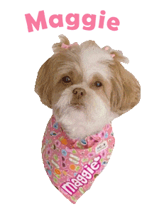 Dog Maggie Sticker