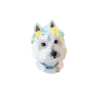 Pet Crown Sticker by Watertown Humane Society