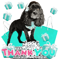 Black Dog Thank You Sticker by Pimp Yo Pets