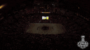 ice hockey sport GIF by NHL