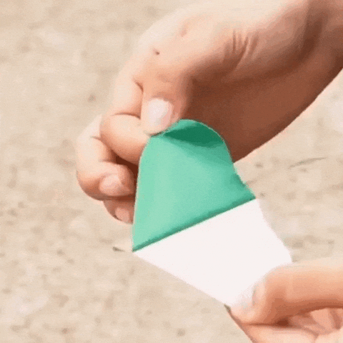 nadykastner giphyupload GIF