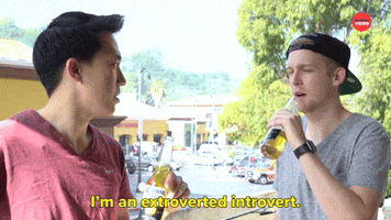 I'm An Extroverted Introvert