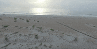 st augustine florida GIF