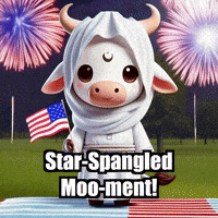 Fourth Of July Summer GIF by Sagemoohammad