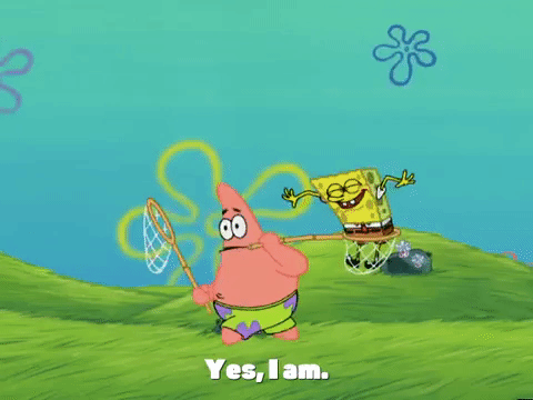 season 4 GIF by SpongeBob SquarePants