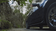 tiffany pollard halloween GIF by VH1