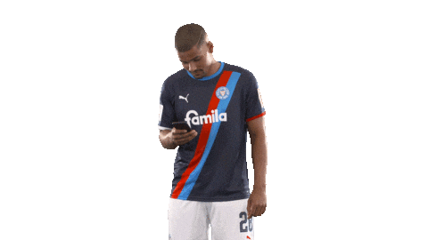 Do Not Disturb Football Sticker by Holstein Kiel