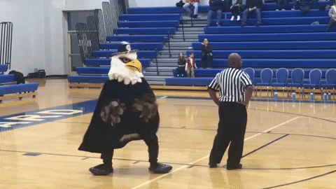 thehubbardeagle nba mascot eagle eagle mascot GIF