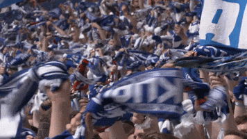 Football Soccer GIF by FC Schalke 04