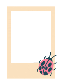 Art Illustration Sticker by Mushydoodle