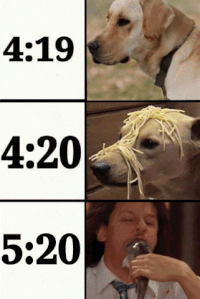 GIF by Adult Swim