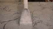 Limpeza Faxina GIF by WAP