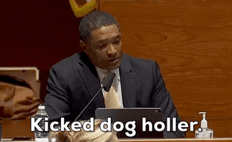A Hit Dog Will Holler GIF by GIPHY News