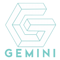 F45Gemini Sticker by F45TrainingSunnylea
