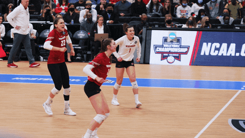 Wisconsin Volleyball Badger GIF by Wisconsin Badgers
