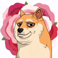 Shiba Inu Flirting GIF by Doge Pound