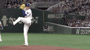 Los Angeles Dodgers Sport GIF by MLB