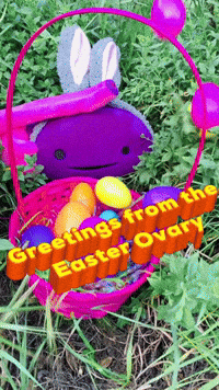 Easter Eggs GIF by I Heart Guts