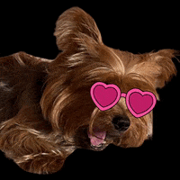GIF by nutricionenbalance