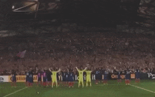 France Football GIF by UEFA